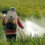 مبيدات حشريه